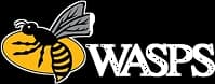 Wasps Rugby